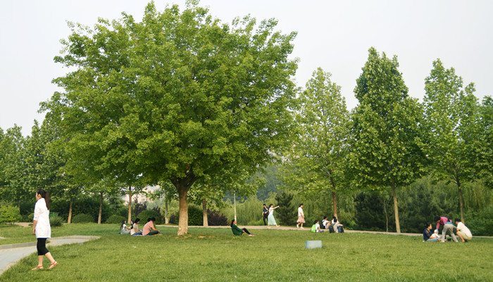 济南大学_副本7.jpg