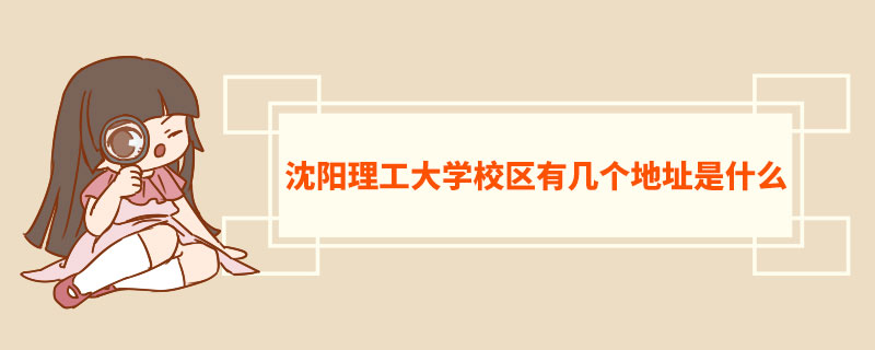 沈阳理工大学校区有几个地址是什么  沈阳理工大学师资力量