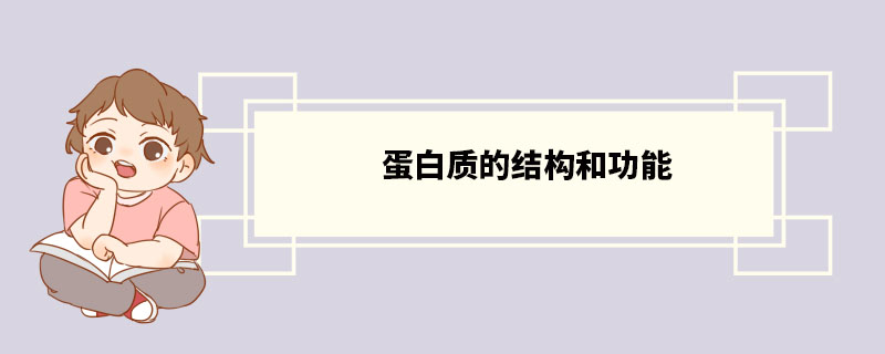 蛋白质的结构和功能 蛋白质介绍