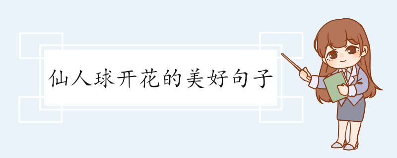 仙人球开花的美好句子.jpg