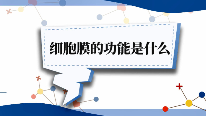 细胞膜的功能是什么 细胞膜的功能有哪些