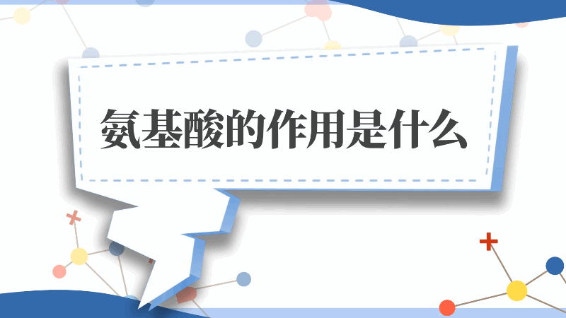 氨基酸的作用是什么 氨基酸有什么作用