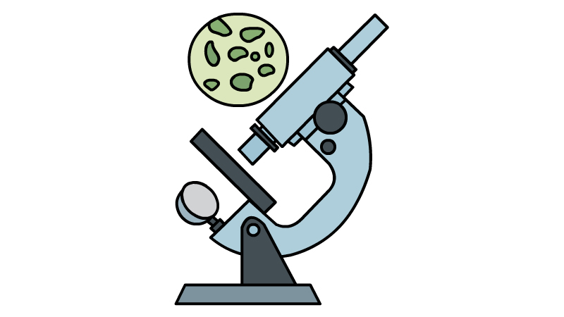 显微镜画法 显微镜怎么画