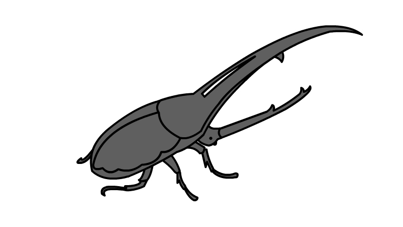 甲虫怎么画 甲虫简笔画