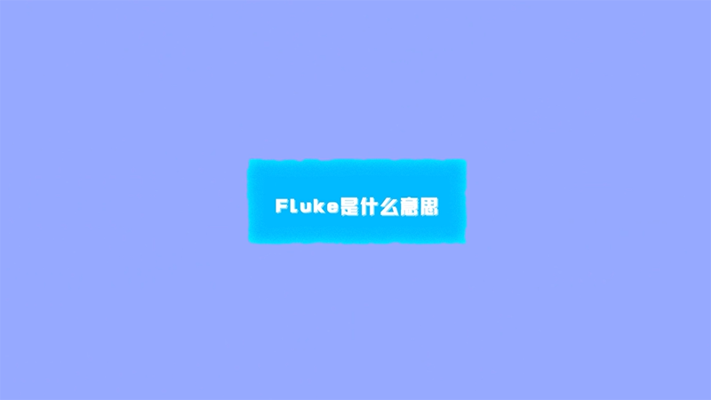 fluke是什么意思 fluke的意思