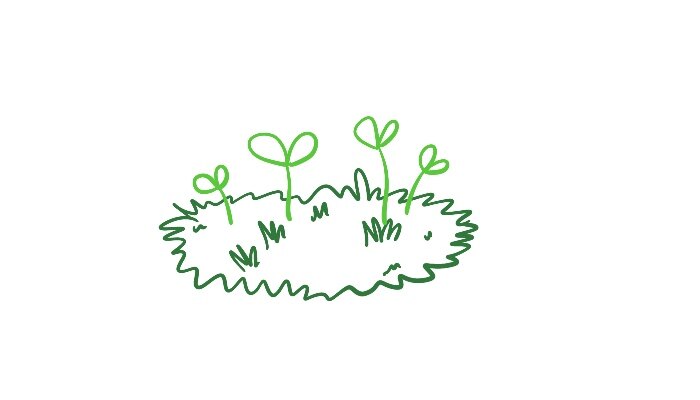 草丛上的嫩芽简笔画 草丛上的嫩芽简笔画画法