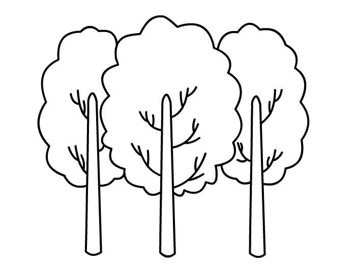 杨树手绘图图片
