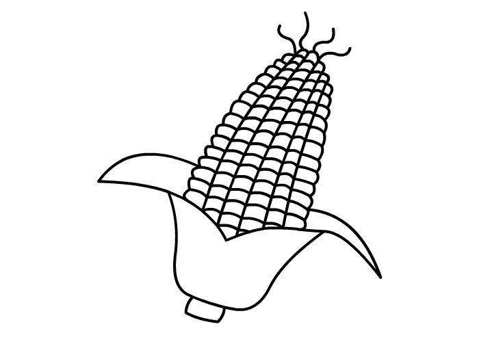 玉米的画法 玉米的画法儿童简笔画 玉米的画法简笔画图片