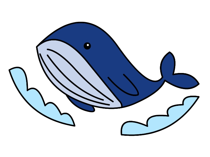 鲸鱼简笔画彩色图片