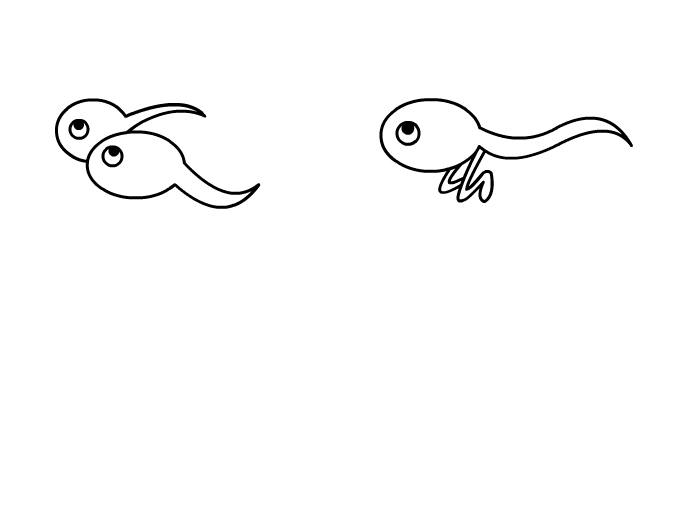 小蝌蚪变青蛙的过程图片简笔画