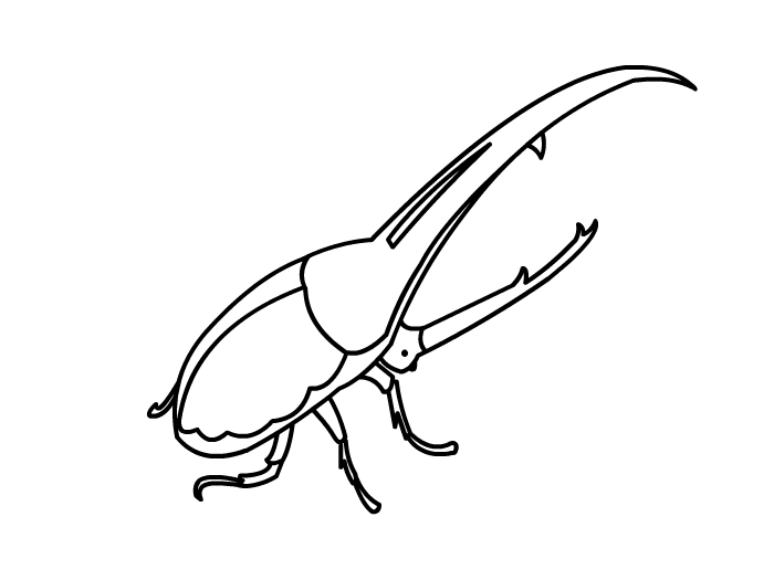 甲虫怎么画 甲虫简笔画