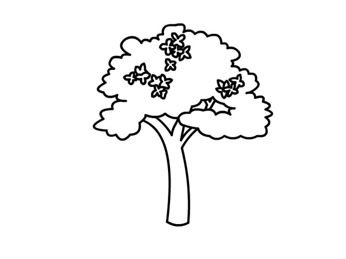 桂花树怎么画很简单图片