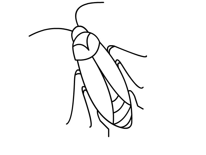 海蟑螂简笔画图片